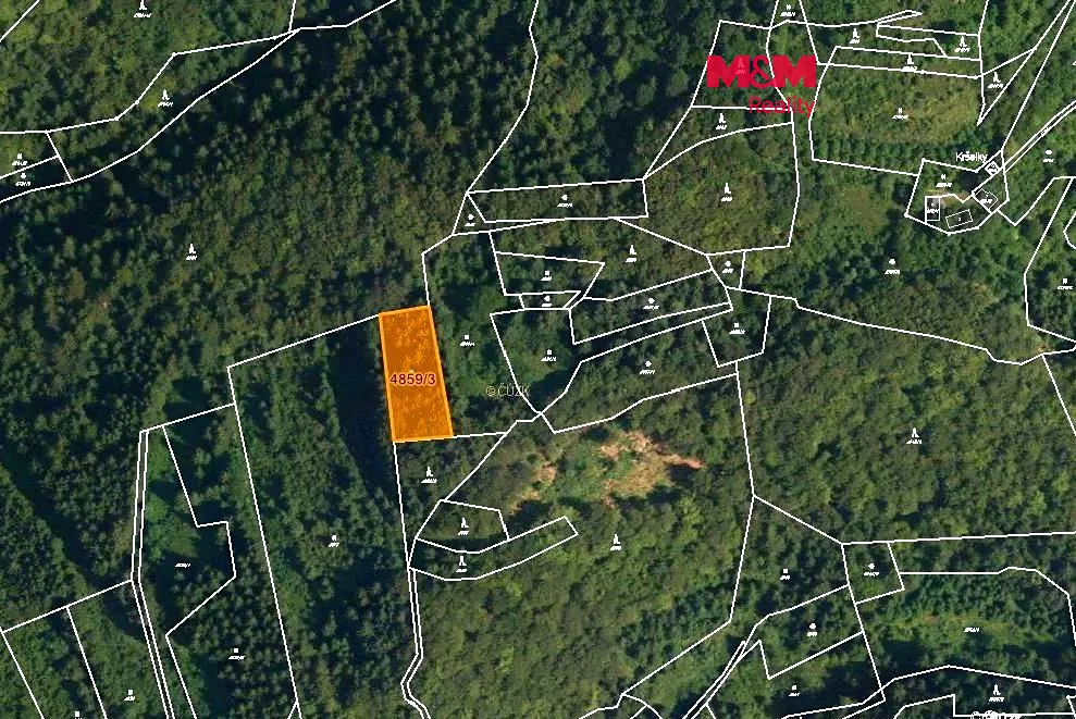Prodej lesa 5001 m²